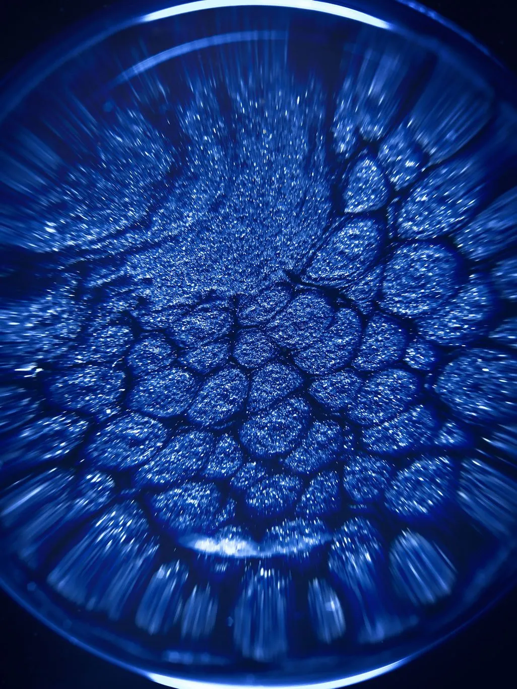 Blue cellular cluster abstract — BIOHACKER